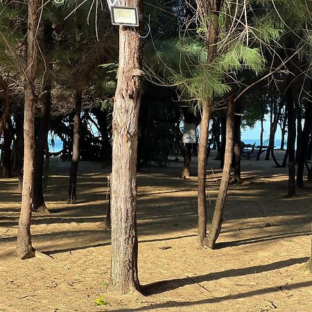 Omeesha Beach Hotel Kalpitiya Exteriör bild