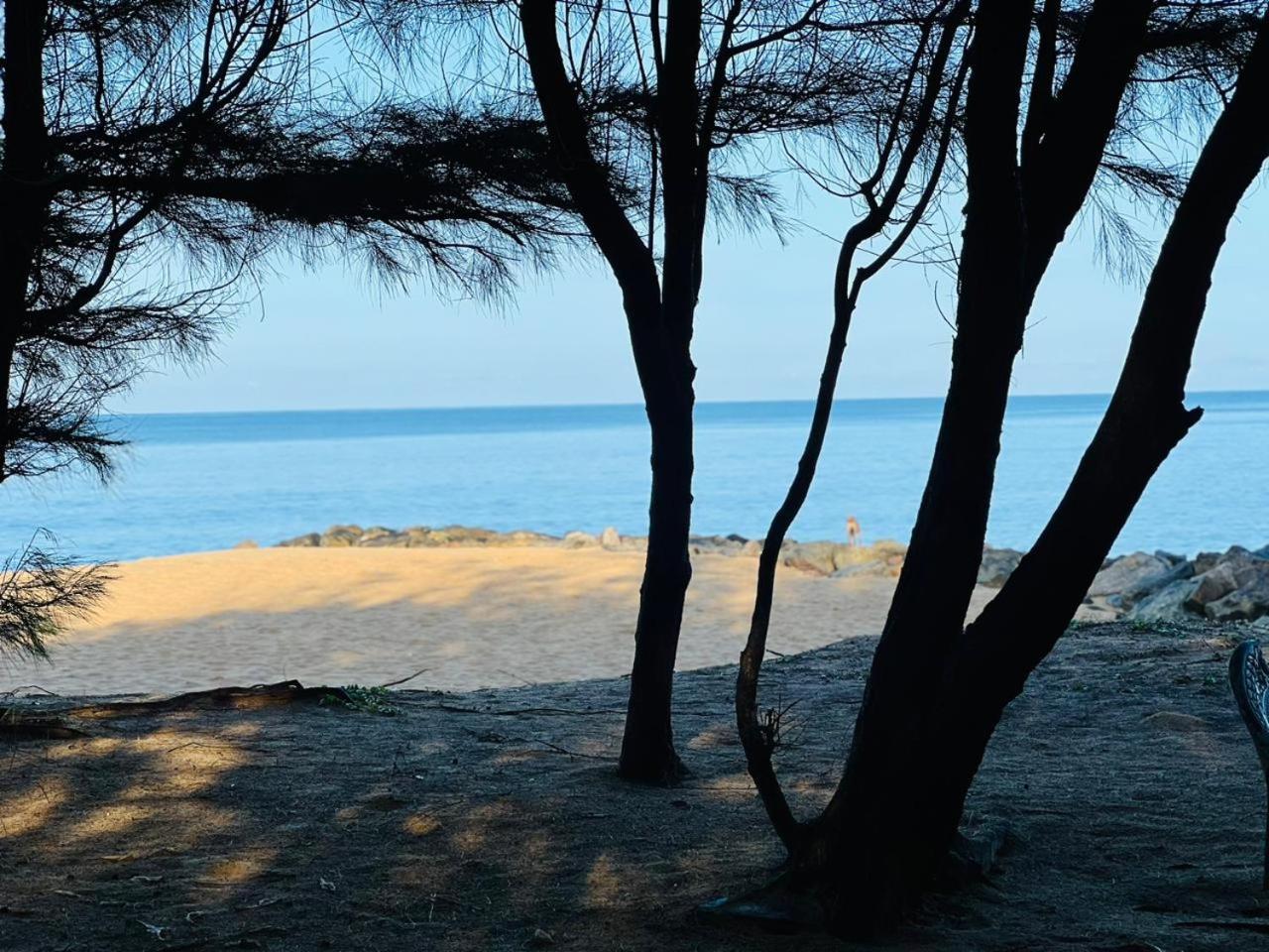 Omeesha Beach Hotel Kalpitiya Exteriör bild