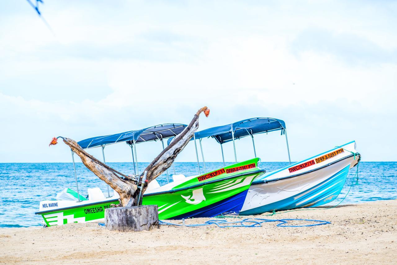 Omeesha Beach Hotel Kalpitiya Exteriör bild
